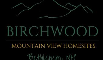 000 Ridge Rd 28, Bethlehem, NH 03574