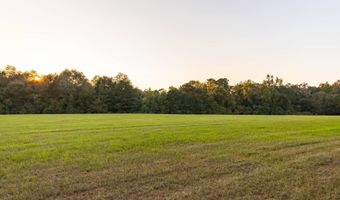 100 Acres Harmony Church Rd, Andalusia, AL 36421