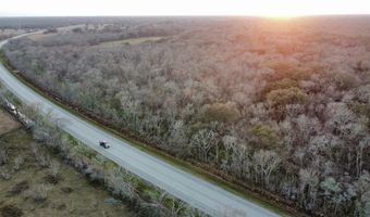 FM 521 TX, Angleton, TX 77515