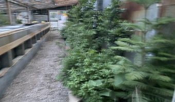 79 AUBURN FOREST Rd, Afton, WY 83110