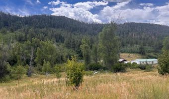 3230 Bear Creek Rd, Bayfield, CO 81122