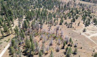 Panther Lane Lot 6, Bonanza, OR 97623