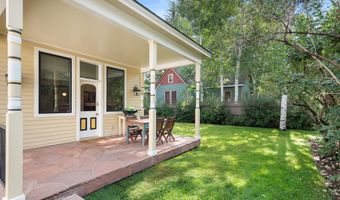 123 E Hallam St, Aspen, CO 81611