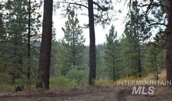 Lot 12 Payette River Ranch, Banks, ID 83602