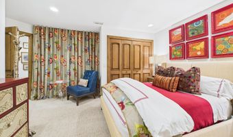 914 E Cooper Ave, Aspen, CO 81611