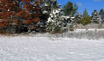 8324 MILLER, Alanson, MI 49706