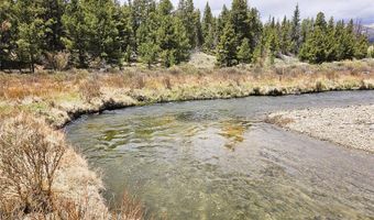 700 Looney Ln Lot 0, Alma, CO 80420