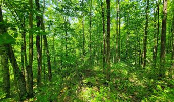 21 Nickerson Rd, Brandon, VT 05733