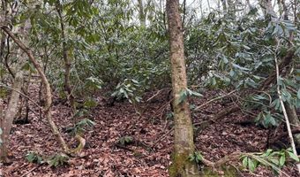 2 13 Acres Big Ridge Rd, Bakersville, NC 28705