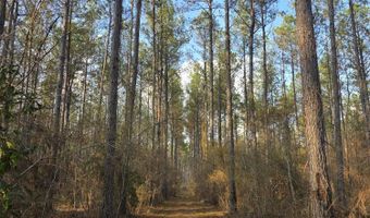 U.S. Highway 51, Bogue Chitto, MS 39629