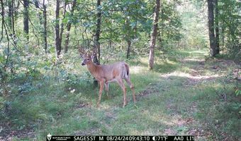 2423 9th Dr, Adams, WI 53910