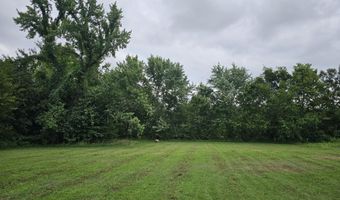 Lot 1 E Prairie Lane, Ash Grove, MO 65604