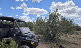 165 Off Old Hwy 66, Ash Fork, AZ 86320