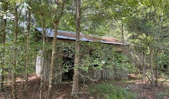 TBD County Road 40, Abbeville, AL 36310