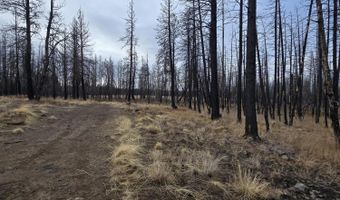 Bull Pine Road 173 Acres, Bly, OR 97622