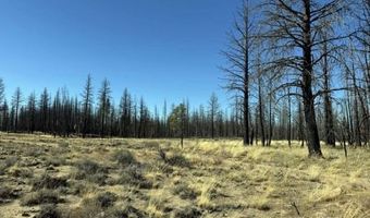 Mahogany Ln, Beatty, OR 97621
