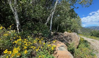 3600 Bear Paw Ln, Glenwood Springs, CO 81601
