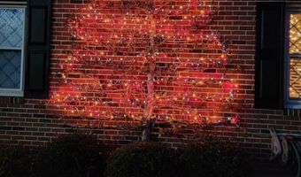 175 Applegate Ln, Bassett, VA 24055