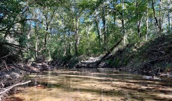 0 Lloyd Mill Rd, Andalusia, AL 36421