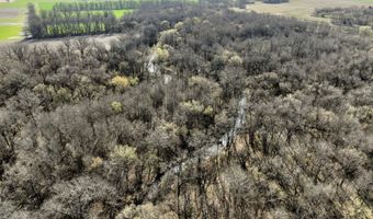 0002 CR-290, Asbury, MO 64832