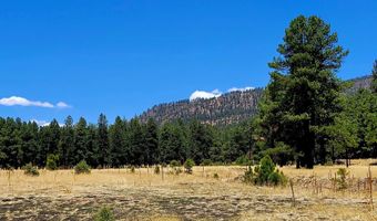 Tbd STONE CREEK RD CR 2117, Alpine, AZ 85920