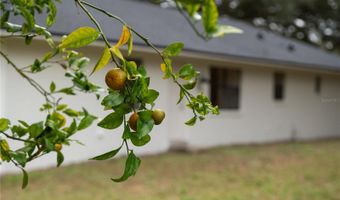 154 W LEWIS Ave, Apopka, FL 32712