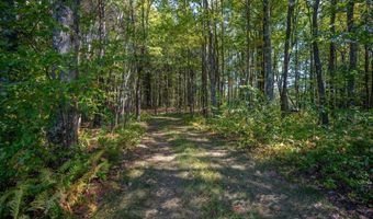 3348 3360 COVE Rd, Accident, MD 21520