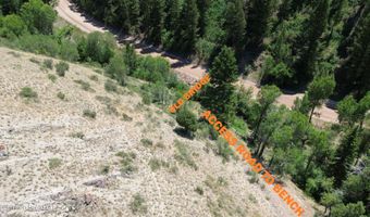 82350 U.S. 89, Afton, WY 83110