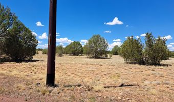 20614014 E W Isabella Ln, Ash Fork, AZ 86032