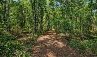 4814 NW 244 Ave, Alachua, FL 32615