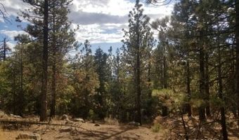 Piute Pines, Caliente, CA 93518