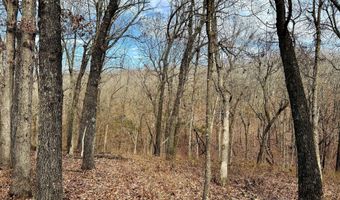 Farm Rd 1187 Lc, Ash Grove, MO 65604