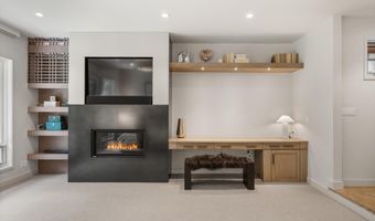 971 Ute Ave, Aspen, CO 81611