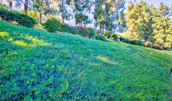 23412 Pacific Park Dr 6A, Aliso Viejo, CA 92656