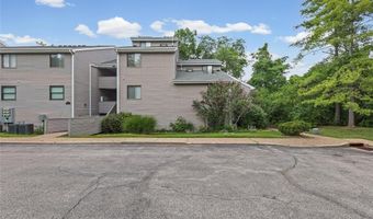 1333 Prospect Village Ln A, Ballwin, MO 63021