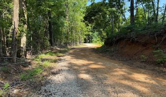 0 County Road 217, Blue Springs, MS 38828