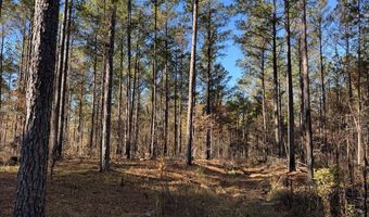 Hwy 9, Bruce, MS 38915