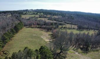 2665 Mt. Carmel Rd, Altoona, AL 35952