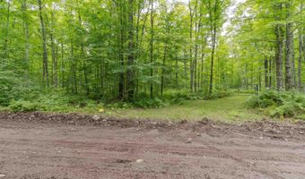 TBD Fishing Site # 2, Amasa, MI 49903