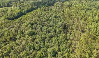 2893 MASSEYVILLE MCNAIRY, Bethel Springs, TN 38315
