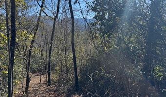 1834 Bristol Ave, Andrews, NC 28901