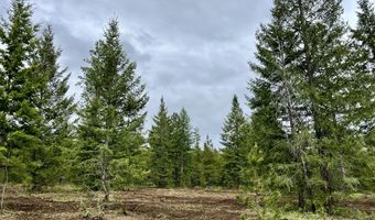 12 Acres Elizabeth Ln, Athol, ID 83801