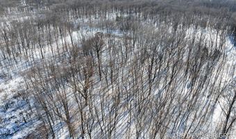 D Rolling Ridge Road Avenue, Allegan, MI 49010