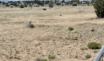 Windsor Valley Ranch Lot 135, Concho, AZ 85924