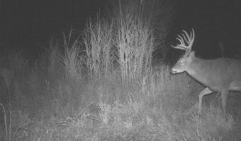 189 Th St, Albia, IA 52531