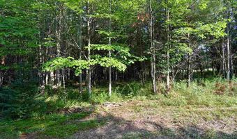 9537 LAKEVIEW, Alanson, MI 49706