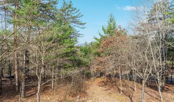 38 STRUDEL Ct, Basye, VA 22810