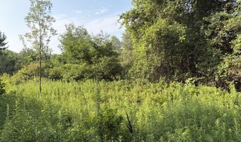 9653 52nd Ave, Allendale, MI 49401