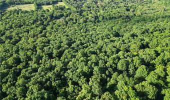 Whiskey Creek Lane, Batesville, AR 72501