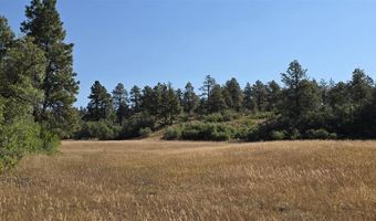 7187 CR 228, Bayfield, CO 81122